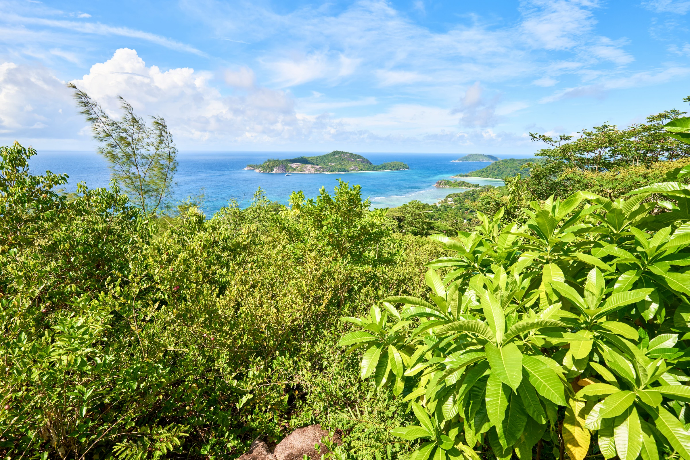 Therese_Island[1].webp